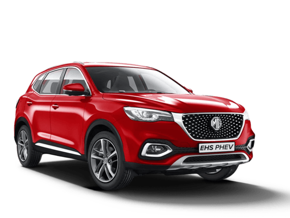 MG EHS שנת 2024